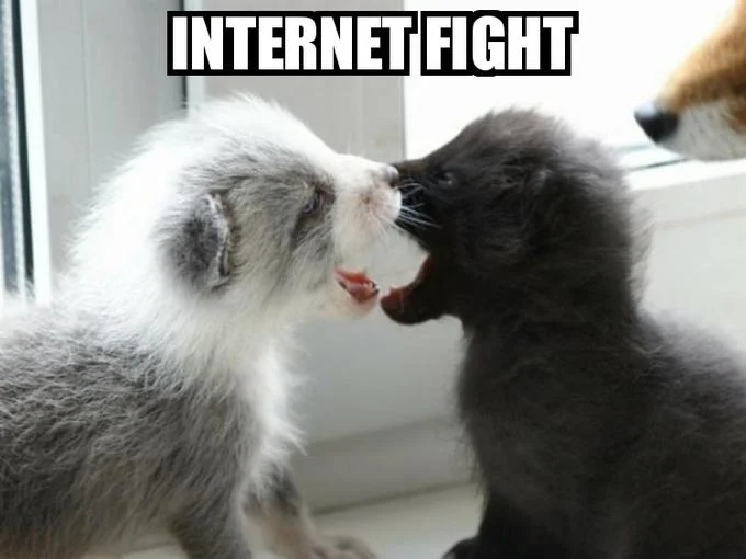 A lolcat-style macro of squabbling kittens used to lightheartedly depict online spats.
