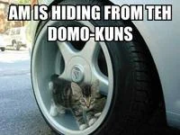 Characteristic LOLcat misspellings and grammar.