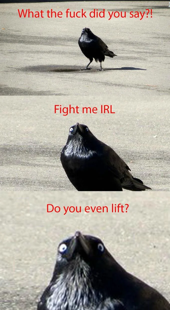 Absurdist meme parodying ITG escalation.