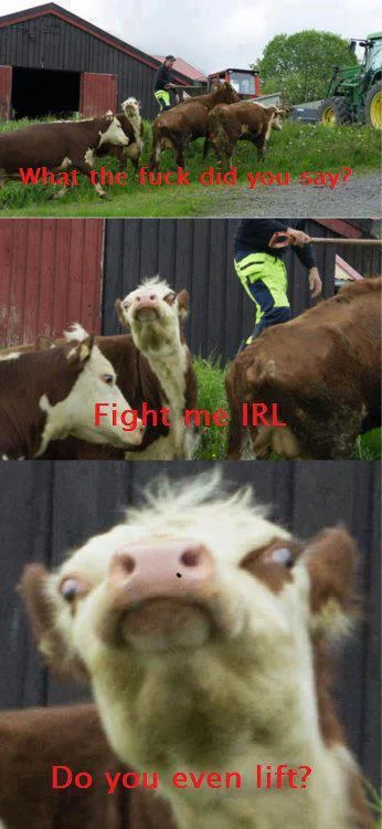 Farm animals parodying ITG online aggression.
