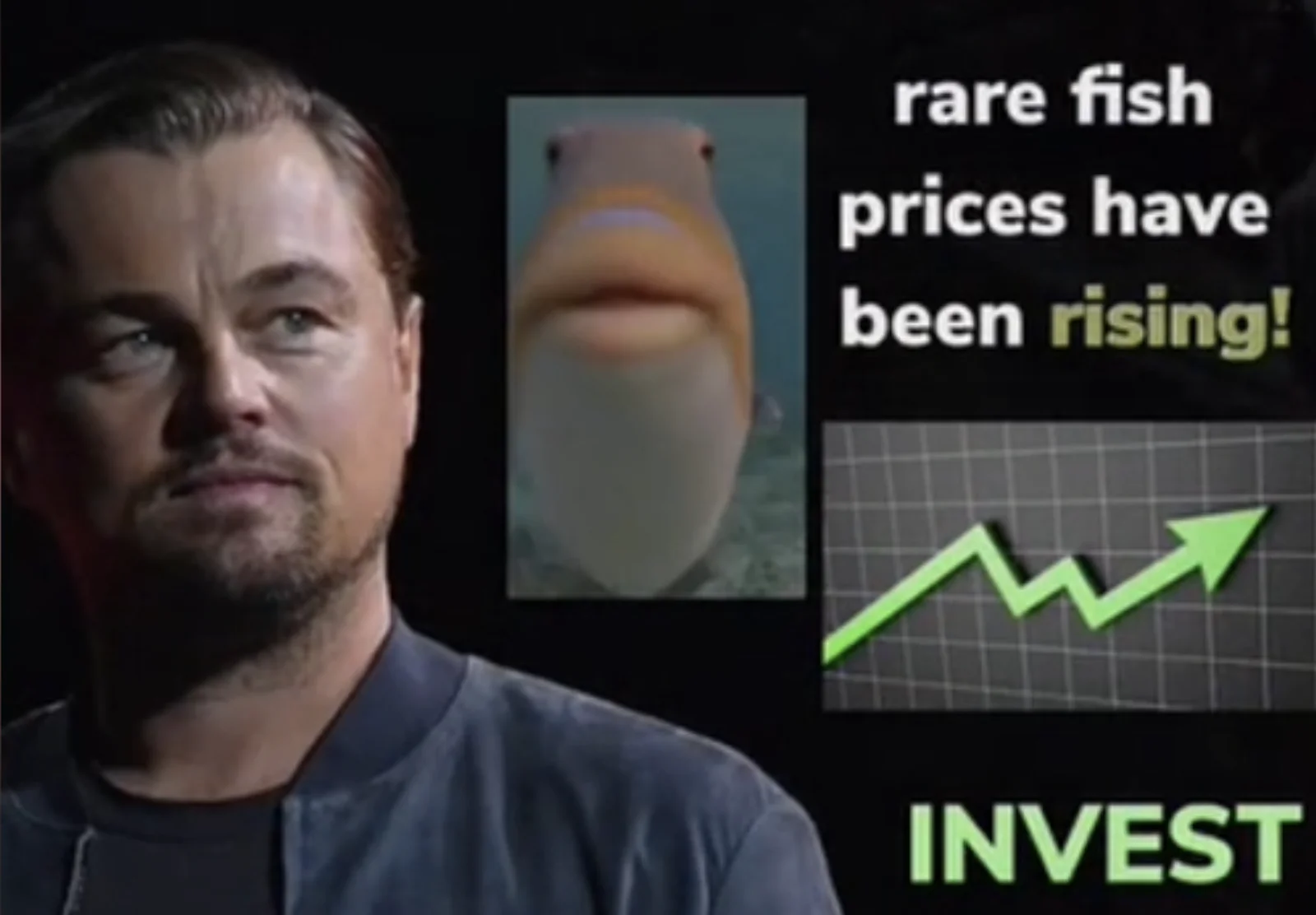 A parody investment ad pairs a stern-faced man with a close-up of a fish and a rising green chart, urging viewers to invest as 'rare fish prices have been rising.'