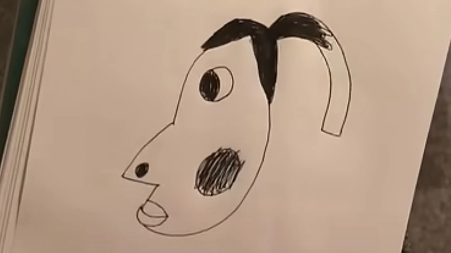 The original crude drawing at the heart of the 'Is that hyperpigmentation?' meme, showing a face with a prominent dark cheek mark.