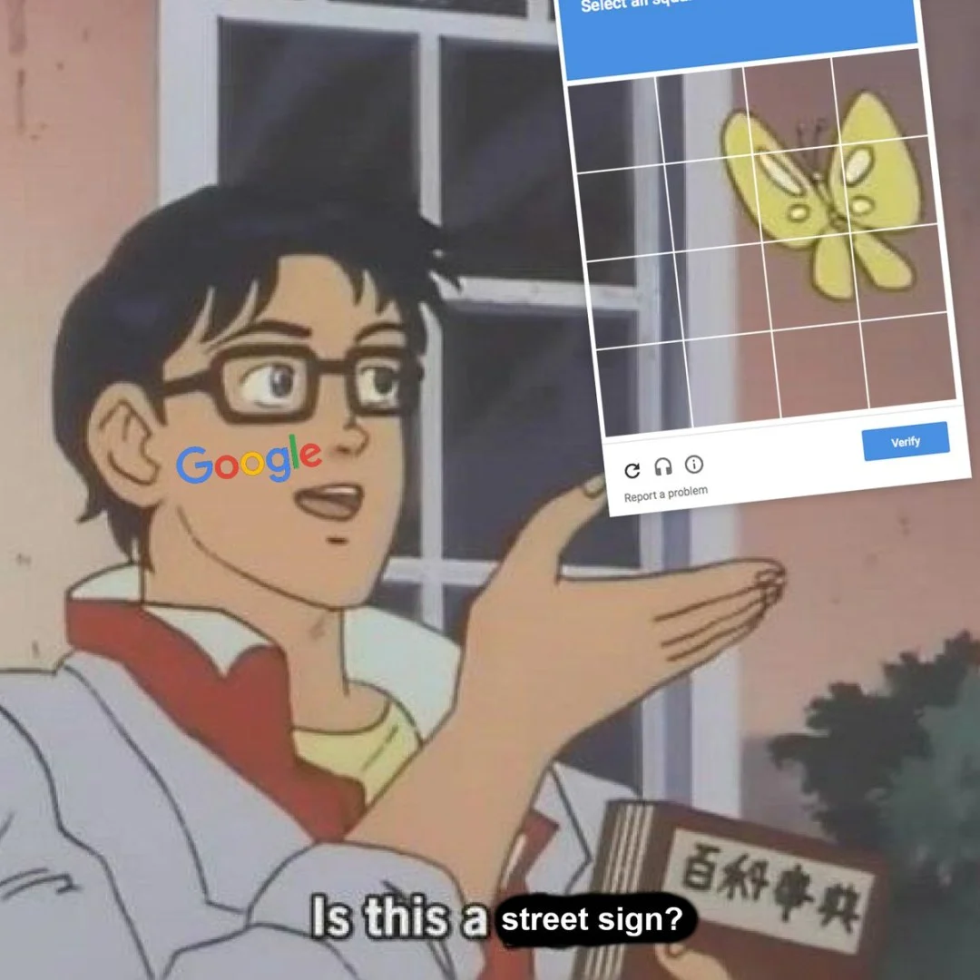 Google Lens butterfly street sign variant.
