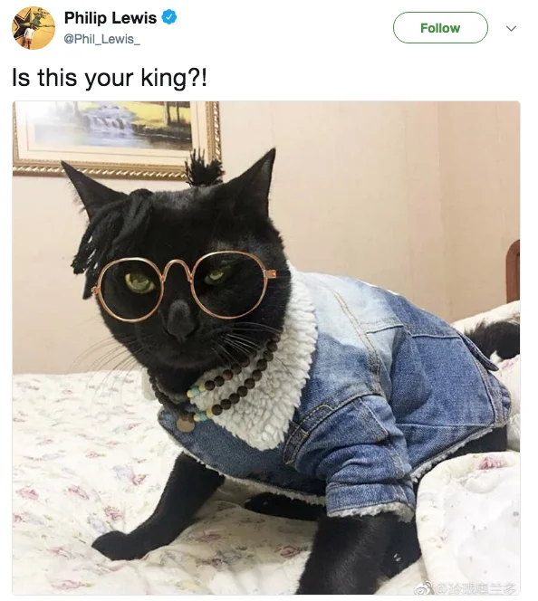 Animal humor adaptation of the meme.