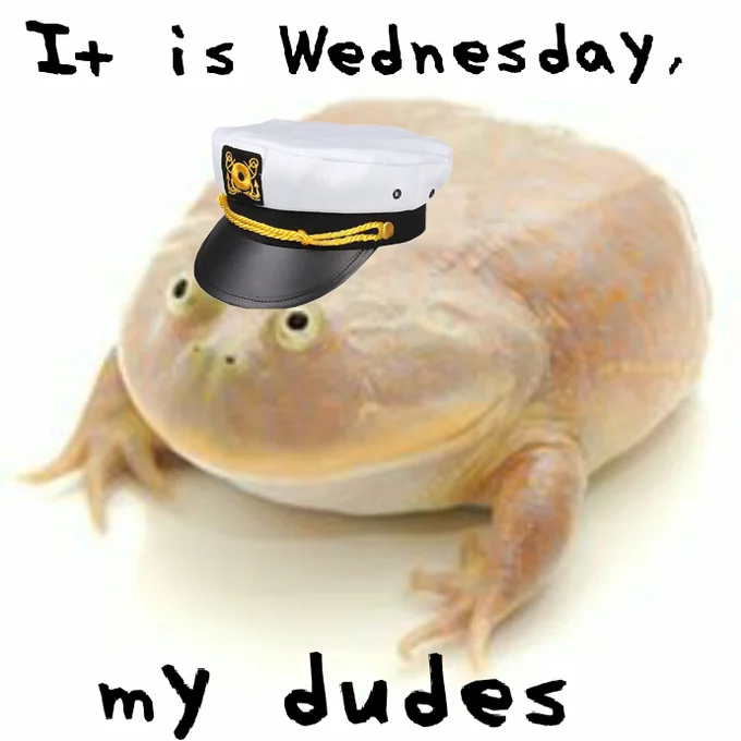 A remix of the Wednesday frog meme featuring the frog in a captain's hat.