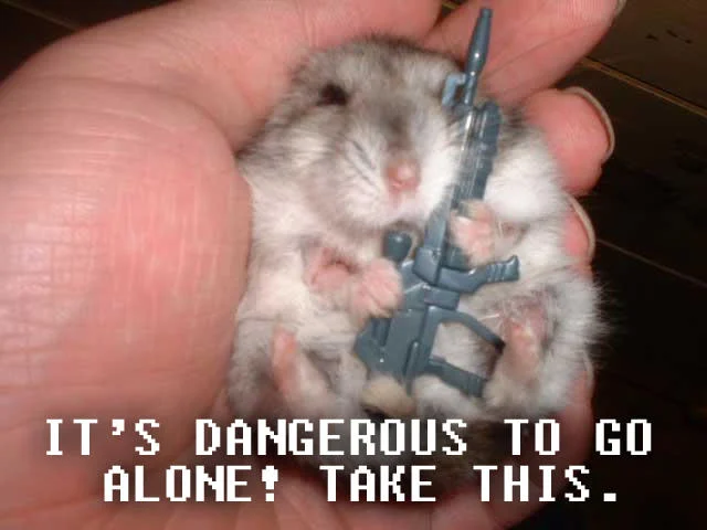 A widely shared variant showing a hamster armed with a toy rifle, offered to the viewer as the perfect adventuring companion.