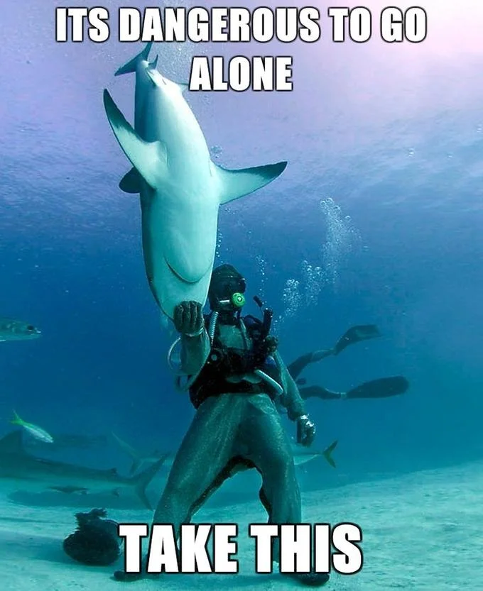 A scuba diver hands off a shark as the ultimate companion in this popular image-macro variant of the meme.