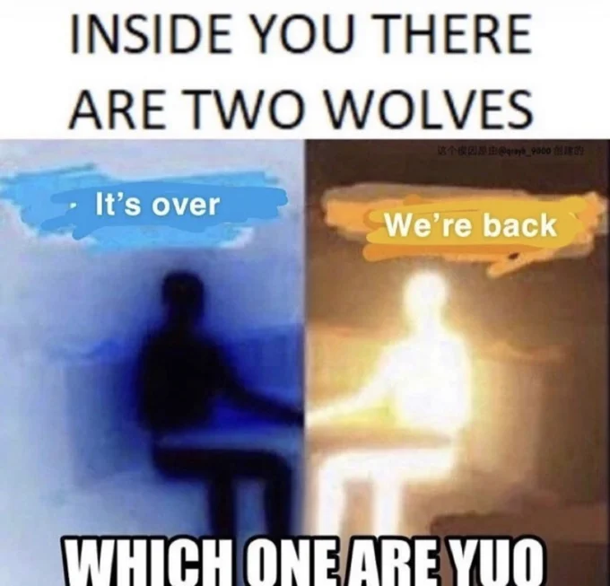 The meme's philosophical duality distilled into a single icon.
