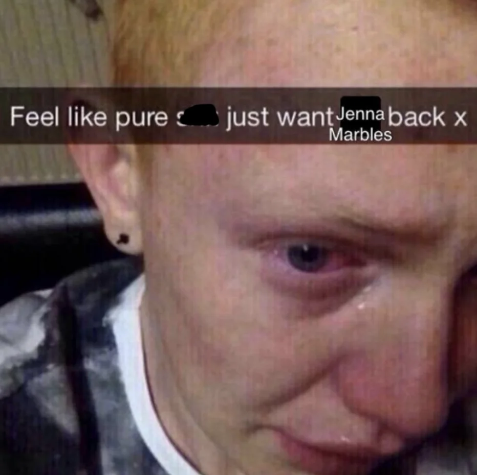 A viral 'just want him back' Snapchat meme adapted to mourn Jenna Marbles' exit from YouTube in 2020.