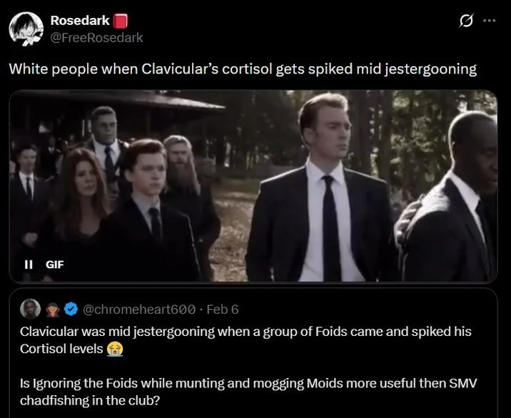 Meme post mocking looksmaxxing streamer Clavicular.