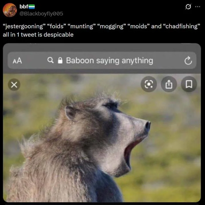 Satirical critique of the proliferation of niche internet slang.