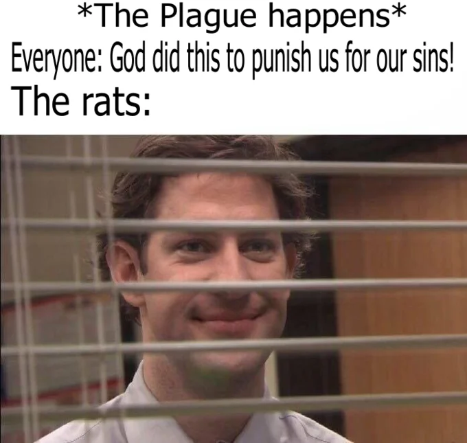 A history-themed variation of the meme casting the plague-carrying rats as the smug Jim Halpert while medieval society blames divine punishment.