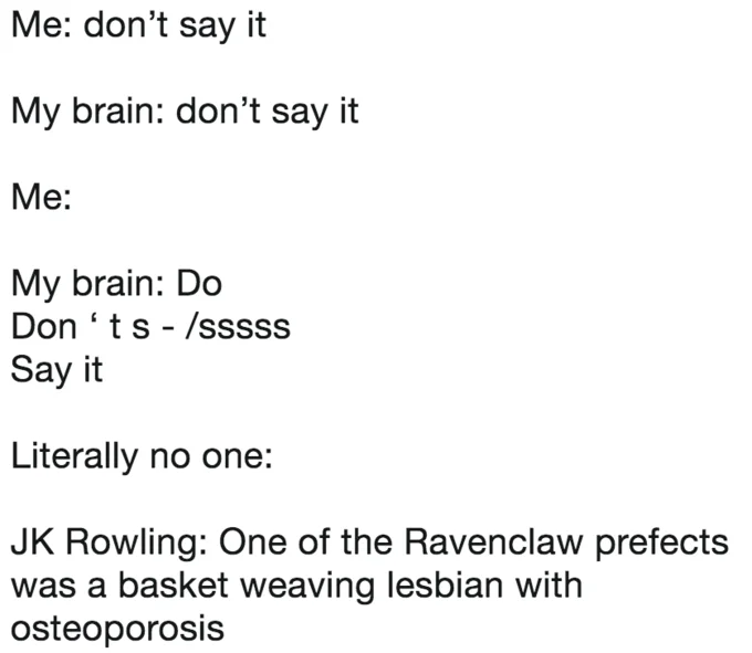 A 'don't say it' text meme mocking Rowling's habit of tweeting increasingly bizarre retroactive Hogwarts lore.