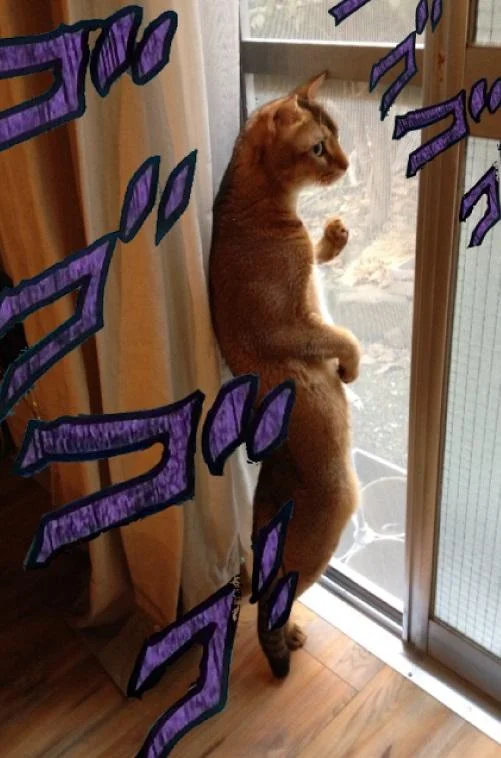 Menacing effect applied to animals for comedic effect.