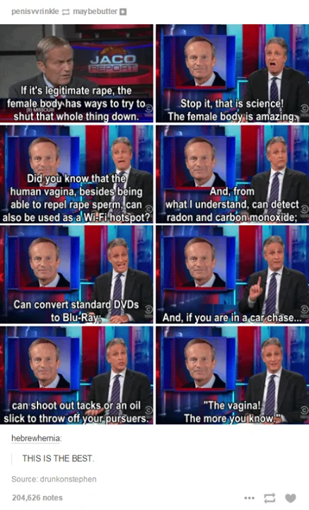 A Tumblr post capturing Jon Stewart's viral takedown of Todd Akin's 'legitimate rape' remarks on 'The Daily Show'.