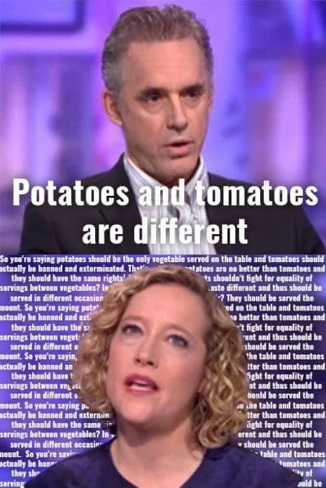 Eric Weinstein's 'Four Quadrant Model' analysis of the Jordan Peterson and Cathy Newman interview.