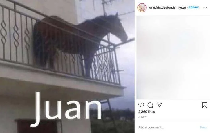 Juan (Horse on Balcony)