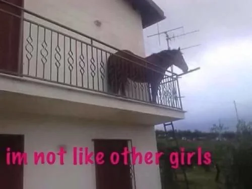 Juan (Horse on Balcony)