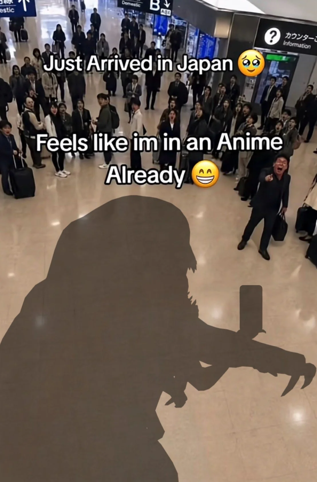 An early viral variant showing the photographer's shadow with 'Feels like im in an Anime Already' caption.