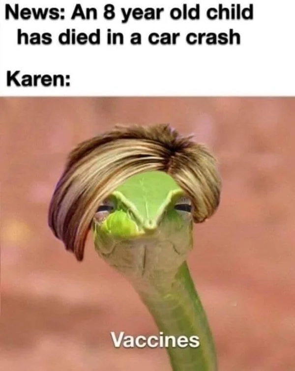 Absurdist animal-with-Karen-hair mashup format.