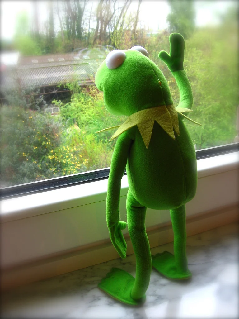 A Kermit the Frog plush toy stands on a windowsill with one arm raised, gazing wistfully out at a verdant garden landscape beyond the glass.