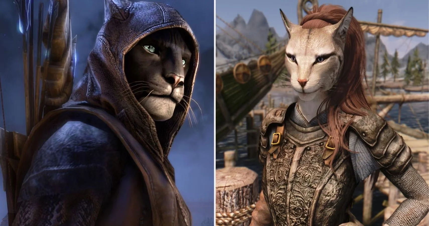 The Khajiit, a race of cat-like humanoids from The Elder Scrolls games, whose merchant caravans inspired the 'Khajiit has wares' catchphrase.