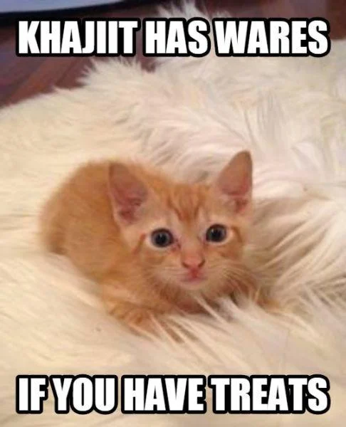 A gamer-focused variation of the catchphrase, joking about paid mods with an in-engine Khajiit screenshot.