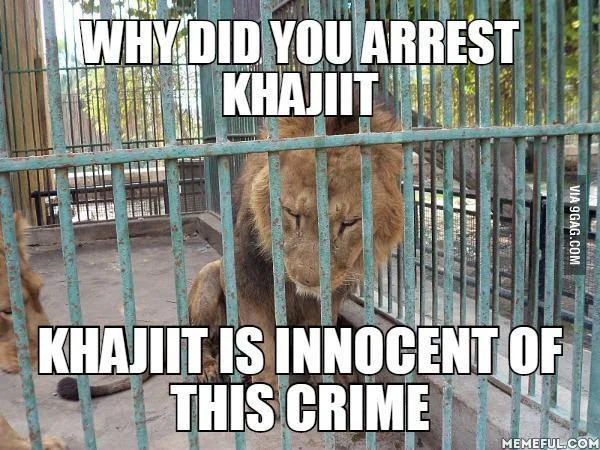 A humorous variant leveraging another common Khajiit in-game line, 'Khajiit is innocent of this crime'.