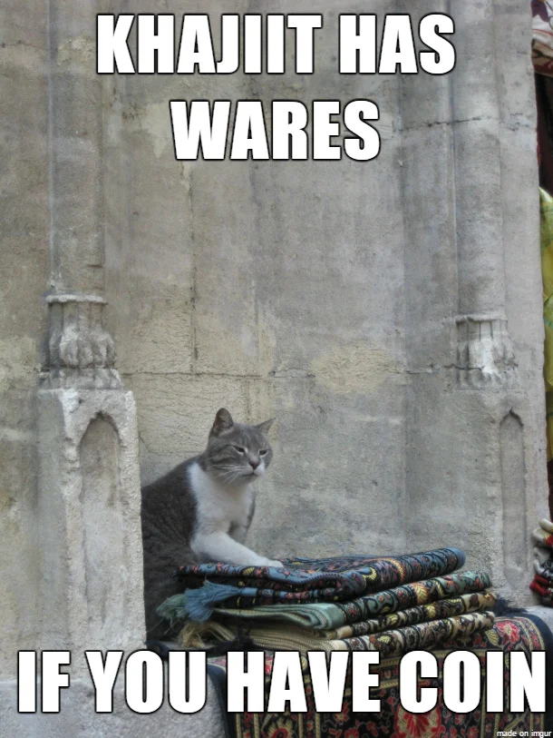 A cute-cat spin on the meme, swapping 'coin' for 'treats' with a wide-eyed ginger kitten.