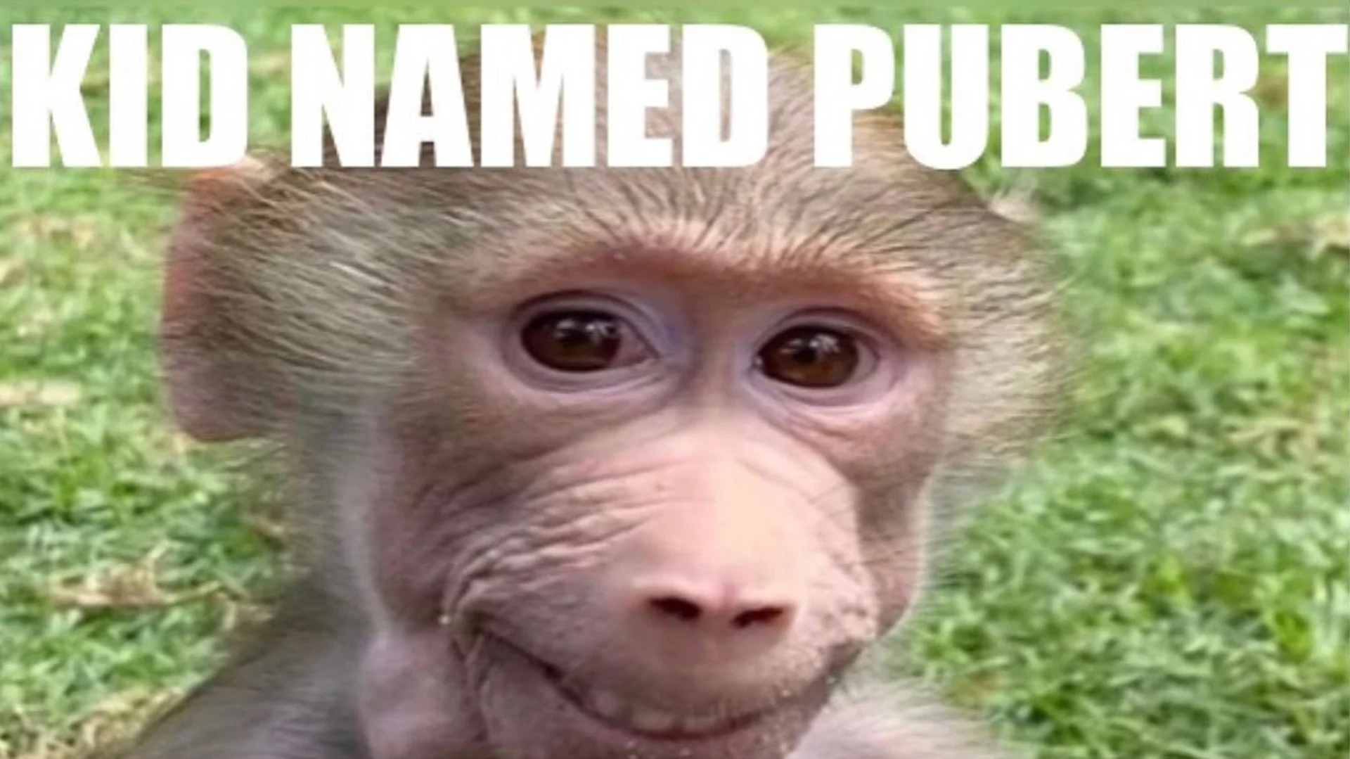 The definitive Kid Named Pubert image: a smiling baby baboon paired with the meme's signature caption.