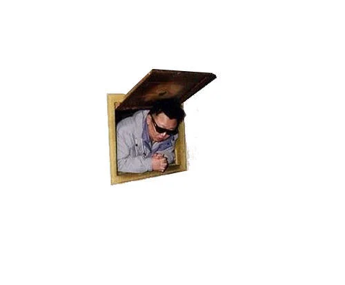 A transparent-background cutout of Kim Jong-il in a wall hatch, commonly used as a meme template to insert him into other scenes.