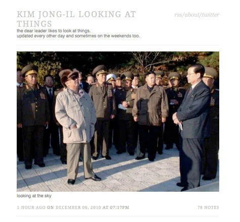 Screenshot of the original Tumblr blog 'Kim Jong-il Looking at Things' that launched the meme in 2010.