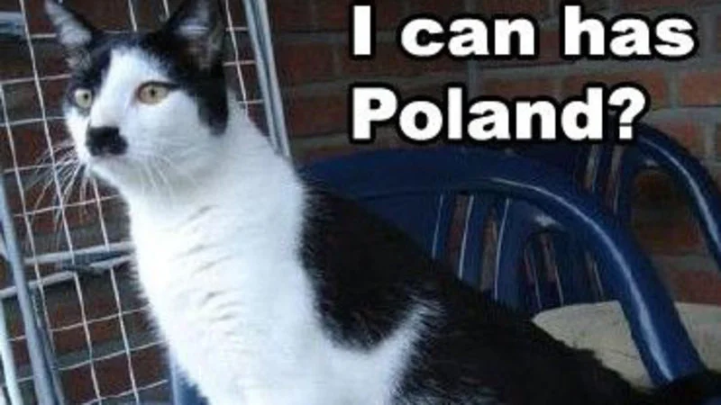 The canonical Kitler image showcasing the distinctive facial marking.