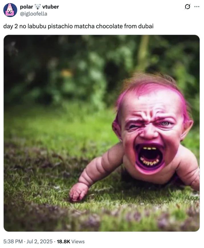 Intense craving for Labubu and Dubai chocolate combo.