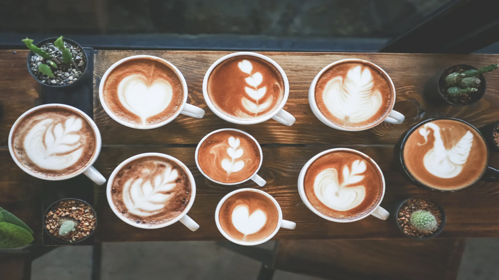 A showcase of traditional latte art patterns — hearts, tulips, rosettas and a swan — poured into nine cappuccinos.