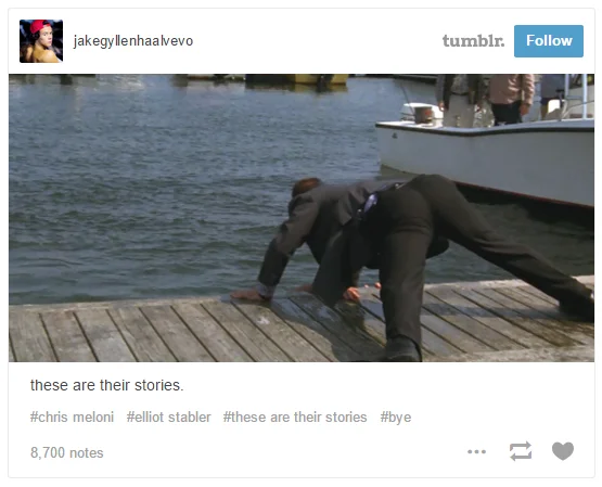 A Tumblr meme using an awkward SVU screencap of Elliot Stabler paired with the 'these are their stories' catchphrase.