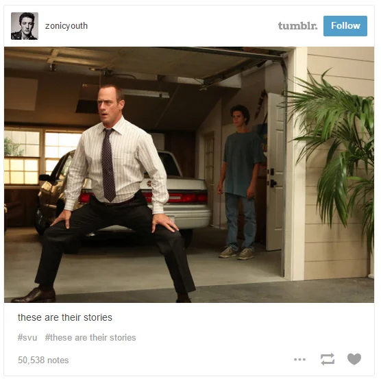 A viral Tumblr post captioned 'these are their stories,' featuring Christopher Meloni in an absurd pose from Law & Order: SVU.