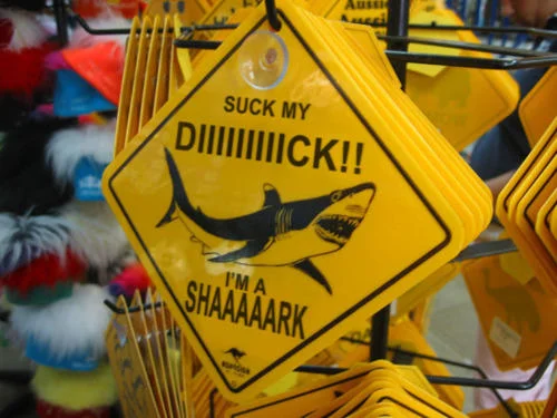 Left Shark