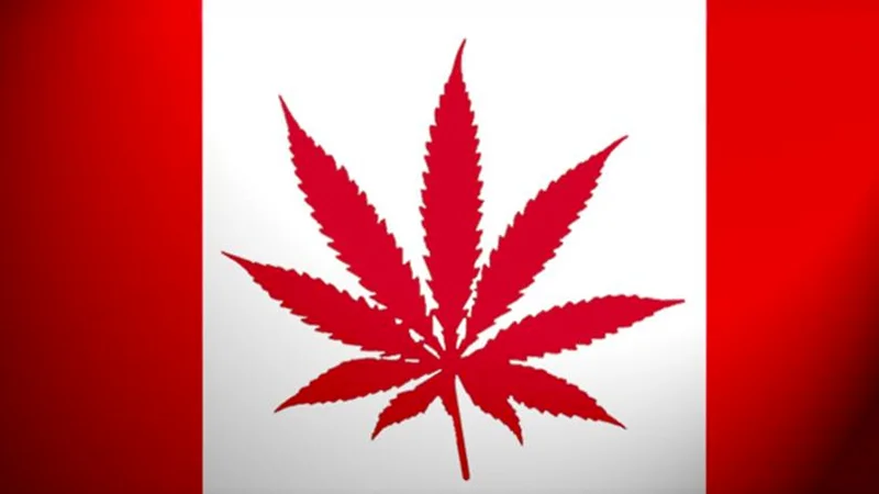 A stylized Canadian flag featuring a cannabis leaf in place of the maple leaf, symbolizing Canada's legalization of marijuana.