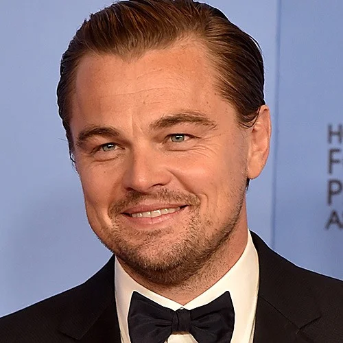 Leonardo DiCaprio at a Hollywood Foreign Press Association event, the definitive headshot used to represent the actor and meme subject.