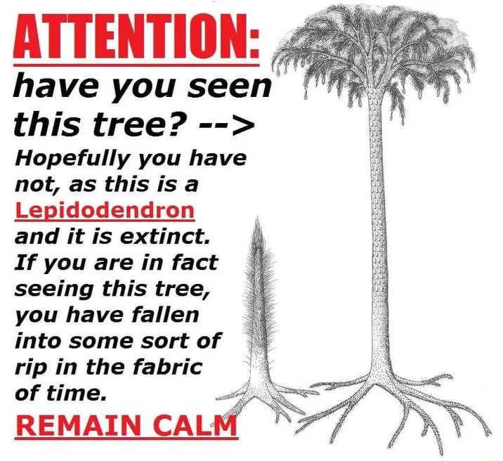 An alternate crop of the viral meme cautioning readers that seeing the extinct Lepidodendron tree signals a rip in the fabric of time.
