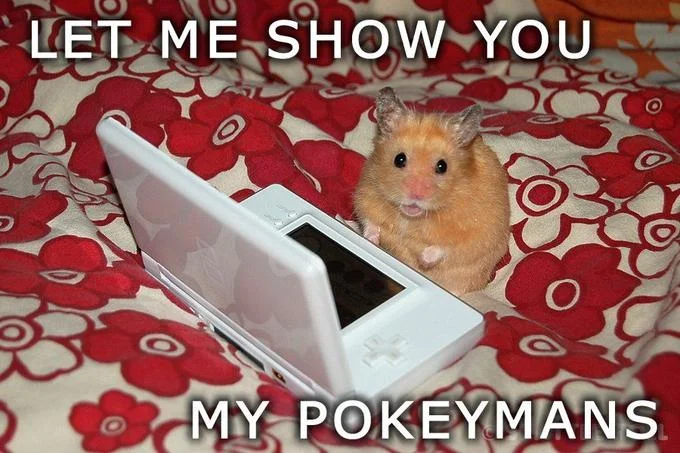 Animal-swap variant of the meme starring a hamster next to a Nintendo DS with the classic catchphrase.