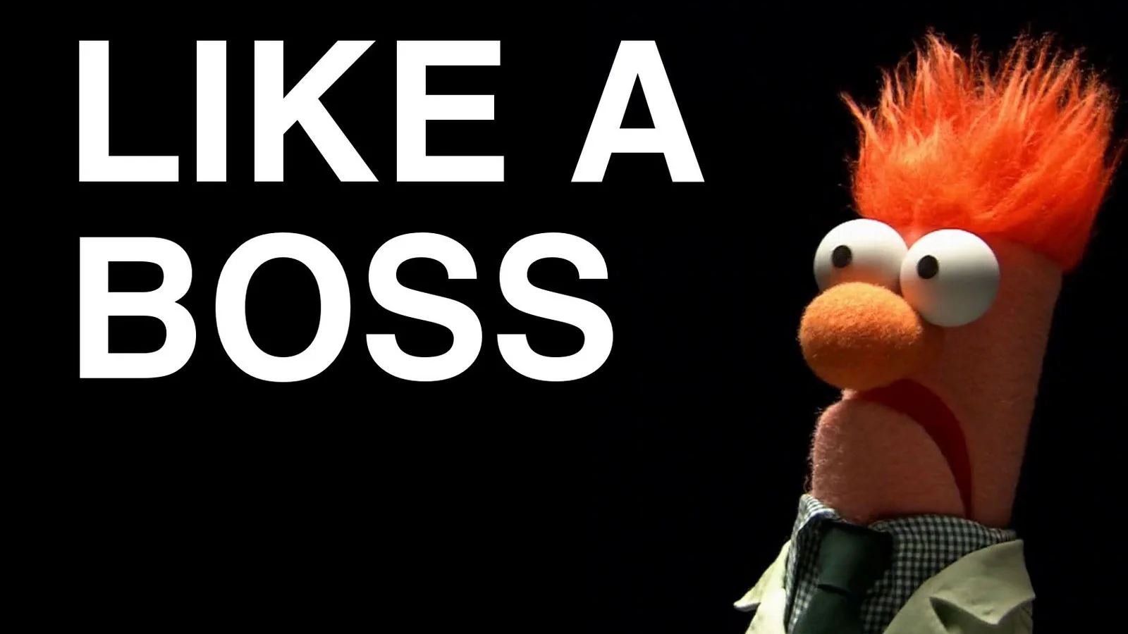 The iconic Beaker 'Like a Boss' image, one of the most recognizable versions of the meme.