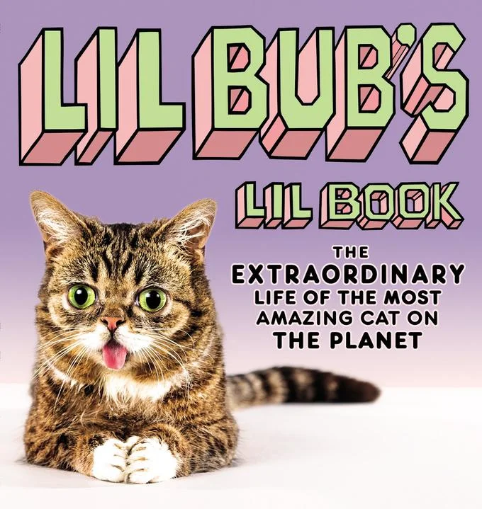 The cover of 'Lil Bub's Lil Book' (2013), a published tribute to the internet-famous cat written in her persona.