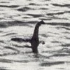 Classic Loch Ness Monster iconic sighting photograph.