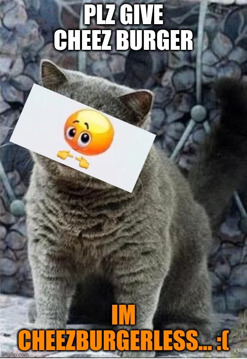 Determined cat pleading for cheezburger.