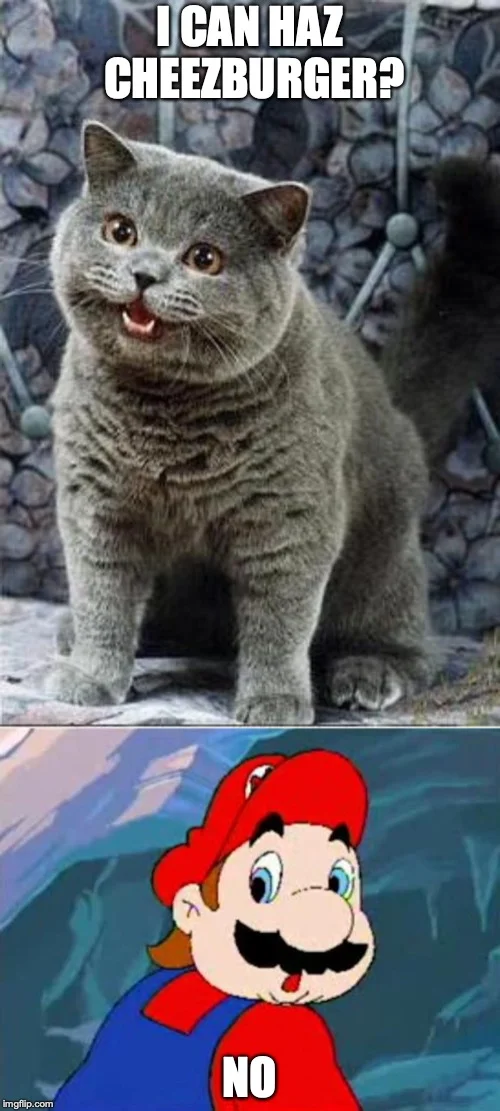 LOLcat combined with Mario video game reference.