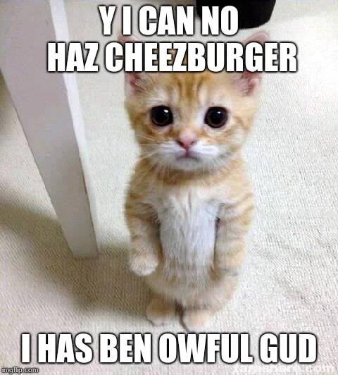 LOLcats / I Can Has Cheezburger