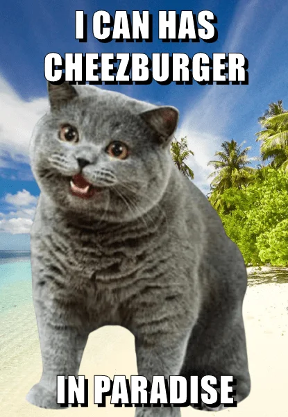 The most iconic LOLcat image in paradise.