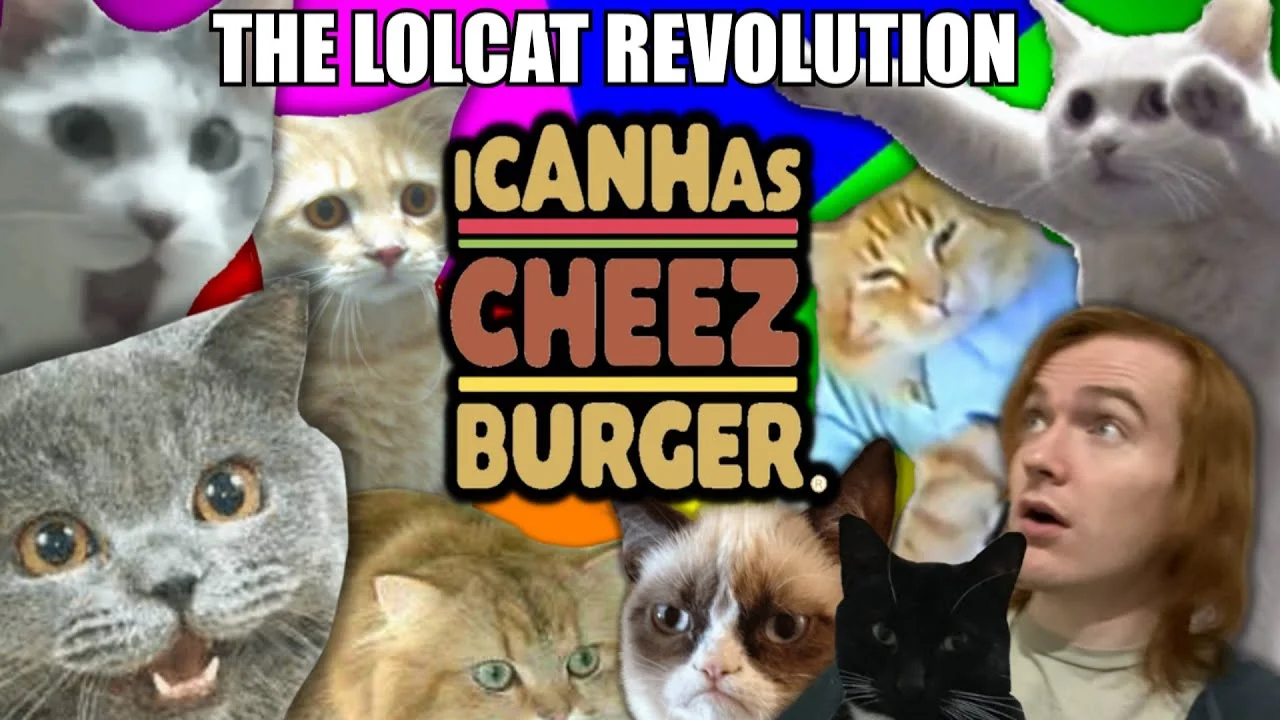 Compilation celebrating the LOLcat revolution phenomenon.